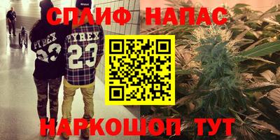спиды Заводоуковск
