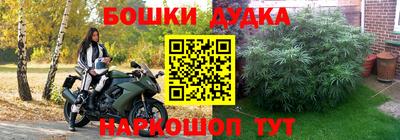 спиды Заводоуковск