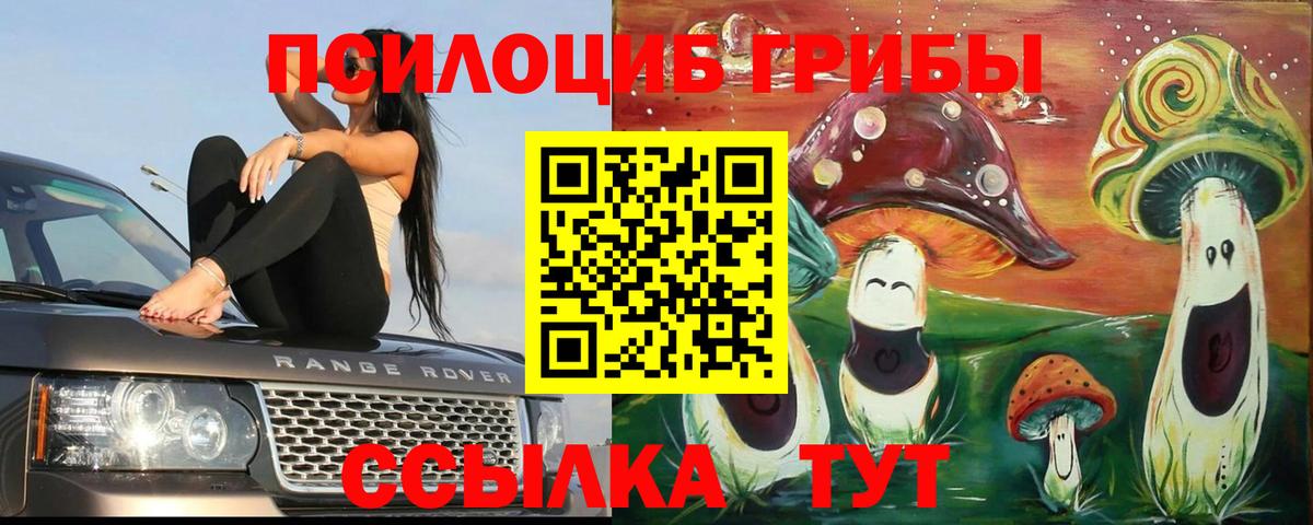 Кушва  Псилоцибиновые грибы ЛСД  Вход с VPN  Галлюциногенные грибы мухоморы 